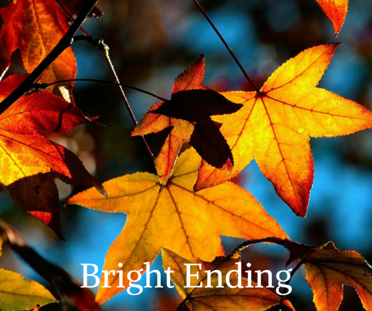 bright-ending-by-phil-appleby