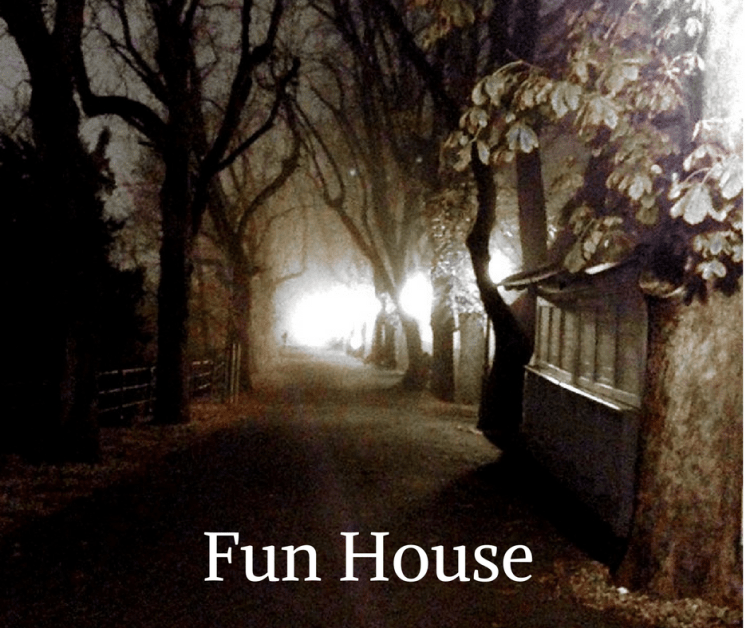 fun-house-by-julie-odler