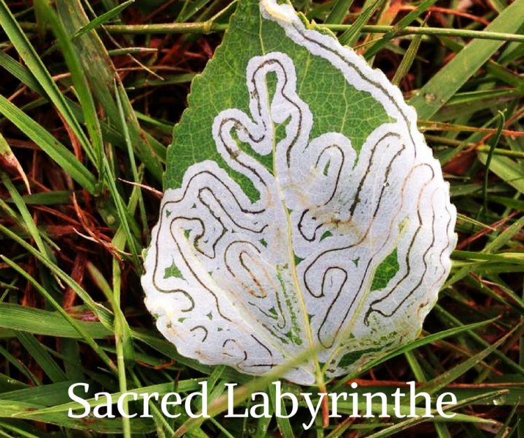 Sacred Labyrinthe.by Erica Blisspng.png
