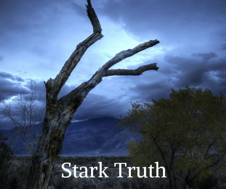 stark-truth-by-wayne-wirs