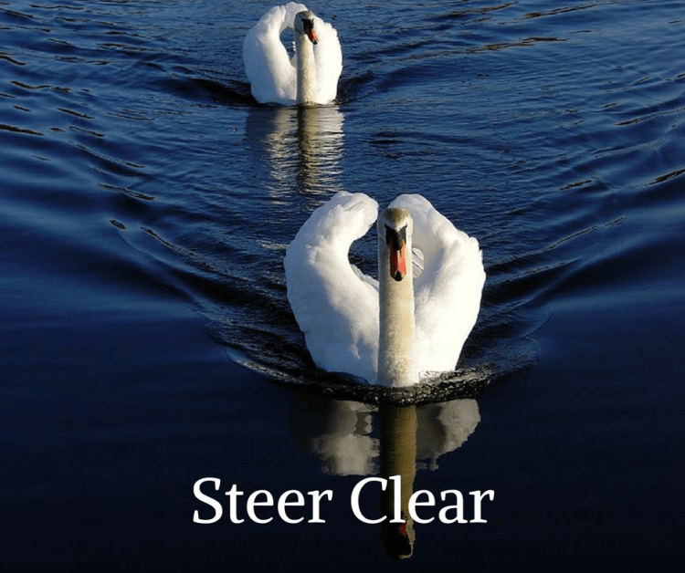 Steer Clear by Sal Knoss Kirneh.png